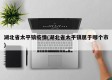 湖北省太平镇疫情(湖北省太平镇属于哪个市)