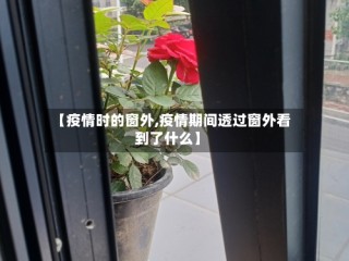 【疫情时的窗外,疫情期间透过窗外看到了什么】