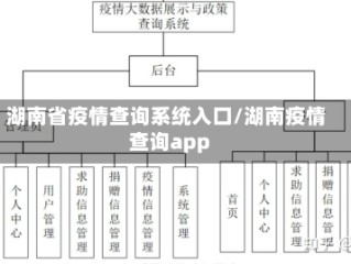 湖南省疫情查询系统入口/湖南疫情查询app