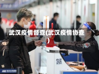 武汉疫情督查(武汉疫情协查)