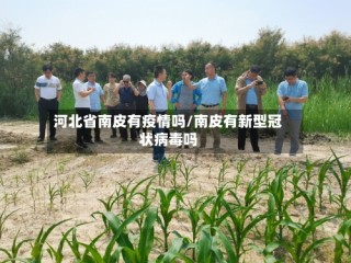 河北省南皮有疫情吗/南皮有新型冠状病毒吗