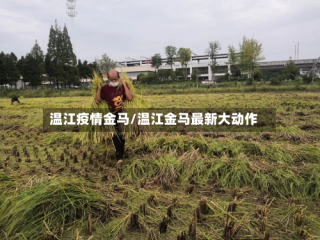 温江疫情金马/温江金马最新大动作