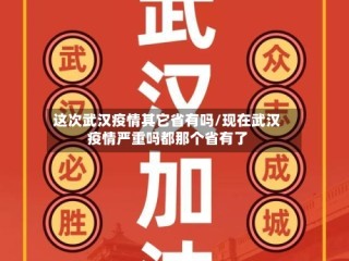 这次武汉疫情其它省有吗/现在武汉疫情严重吗都那个省有了