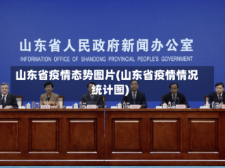 山东省疫情态势图片(山东省疫情情况统计图)