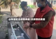 山东省抗击疫情美篇/抗疫情的美篇
