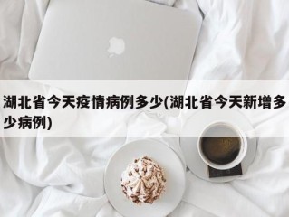 湖北省今天疫情病例多少(湖北省今天新增多少病例)