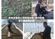 贵州省烟草公司疫情捐款/贵州省烟草公司投资公司