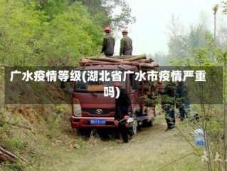 广水疫情等级(湖北省广水市疫情严重吗)