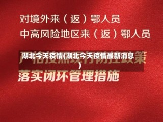 湖北今天疫情(湖北今天疫情最新消息)