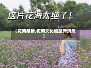 【花海疫情,花海文化城最新消息】