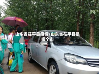 山东省茌平县疫情/山东省茌平县是哪个市