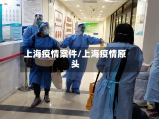 上海疫情案件/上海疫情原头