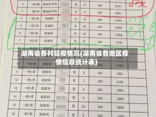 湖南省各村防疫情况(湖南省各地区疫情信息统计表)