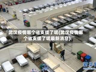 武汉疫情哪个省支援了呢(武汉疫情哪个省支援了呢最新消息)