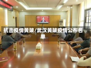 抗击疫情黄陂/武汉黄陂疫情公布名单