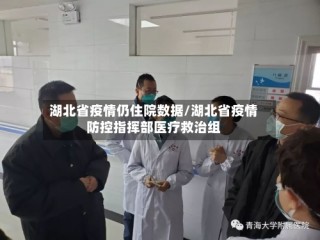 湖北省疫情仍住院数据/湖北省疫情防控指挥部医疗救治组