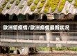 欧洲貂疫情/欧洲疫情最新状况