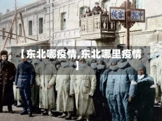 【东北哪疫情,东北哪里疫情】