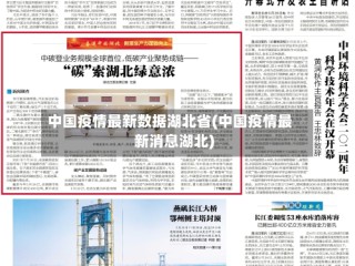 中国疫情最新数据湖北省(中国疫情最新消息湖北)