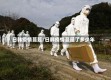 日韩疫情蔓延/日韩疫情蔓延了多少年