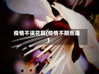 疫情不误花期(疫情不期而遇)