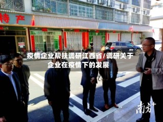 _疫情企业帮扶调研江西省/调研关于企业在疫情下的发展