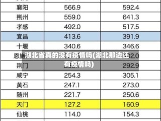 湖北省真的没有疫情吗(湖北那边还有疫情吗)