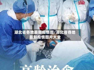 湖北省各地最新疫情图/湖北省各地最新疫情图片大全