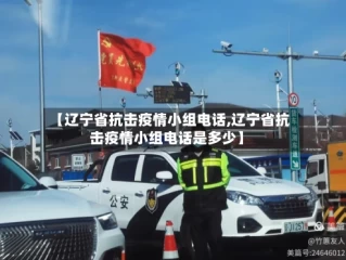 【辽宁省抗击疫情小组电话,辽宁省抗击疫情小组电话是多少】