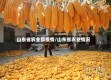 山东省农业部疫情/山东省农业情况