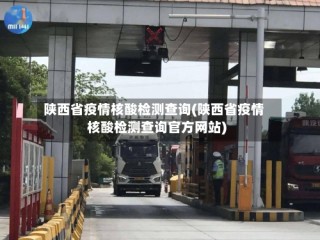 陕西省疫情核酸检测查询(陕西省疫情核酸检测查询官方网站)
