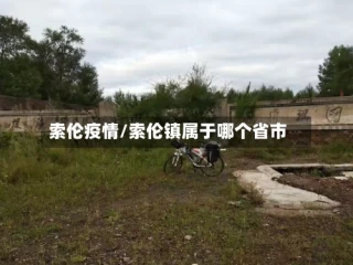 索伦疫情/索伦镇属于哪个省市