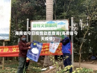 海南省今日疫情动态查询(海南省今天疫情)