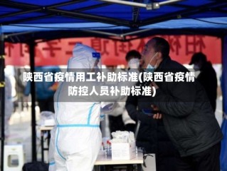 陕西省疫情用工补助标准(陕西省疫情防控人员补助标准)