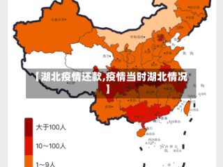 【湖北疫情还款,疫情当时湖北情况】