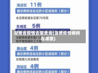 湖南省疫情去哪查询(湖南疫情病例在哪里)