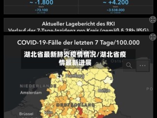 湖北省最新肺炎疫情情况/湖北省疫情最新进展