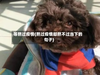 等熬过疫情(熬过疫情却熬不过当下的句子)