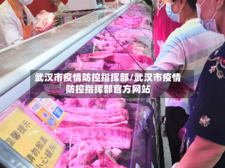 武汉市疫情防控指挥部/武汉市疫情防控指挥部官方网站