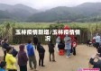 玉林疫情新增/玉林疫情情况