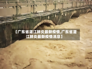 【广东省湛江肺炎最新疫情,广东省湛江肺炎最新疫情消息】