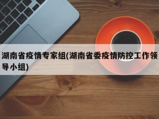 湖南省疫情专家组(湖南省委疫情防控工作领导小组)