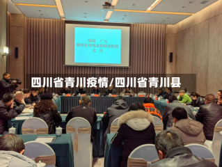 四川省青川疫情/四川省青川县