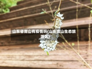 山东省嵩山有疫情吗(山东嵩山生态旅游区)