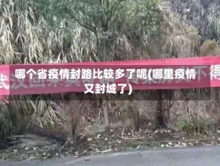哪个省疫情封路比较多了呢(哪里疫情又封城了)