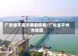 广东省平南市最新疫情/广东省平州市地图