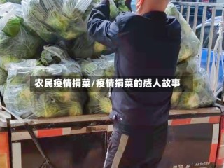 农民疫情捐菜/疫情捐菜的感人故事