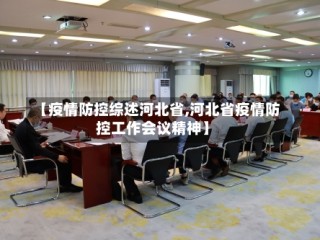 【疫情防控综述河北省,河北省疫情防控工作会议精神】