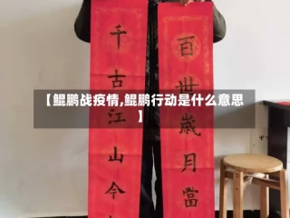 【鲲鹏战疫情,鲲鹏行动是什么意思】