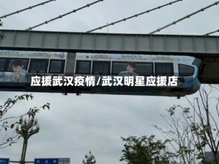 应援武汉疫情/武汉明星应援店